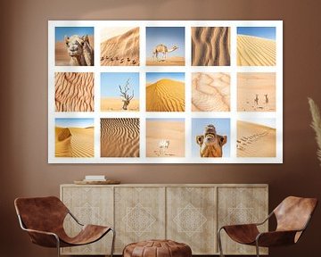 Collage foto's woestijn/kamelen Oman