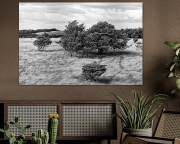 Landschap met bomen en wuivend gras (Denemarken) van Tot Kijk Fotografie: natuur aan de muur