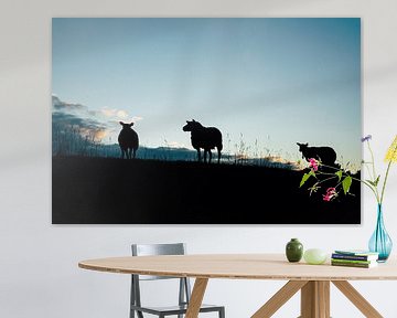 Silhouet van schapen bij zonsopkomst van Suzanne Spijkers