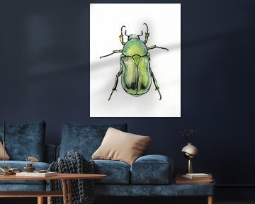 Green beetle illustration