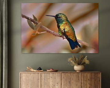 hummingbird gold luster by Nienke Bot