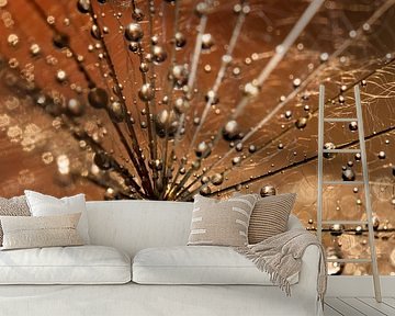 Drops on the Tragopogon by Marjolijn van den Berg