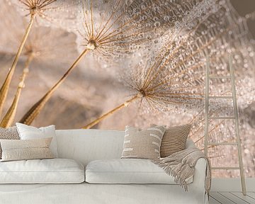 Soft pastel-colored Tragopogon with drops by Marjolijn van den Berg