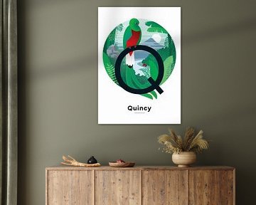 Poster du nom Quincy