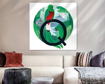 De Quetzal en de quad
