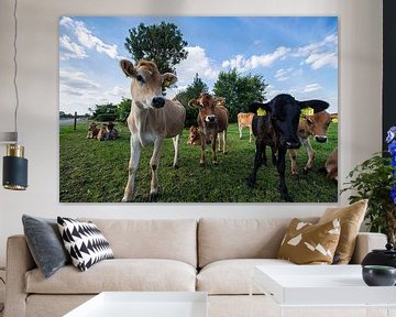 Jersey Koeien in Nederland van Brian Morgan