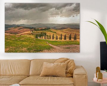 Tuscan landscape in Val D' Orcia by Kevin Baarda