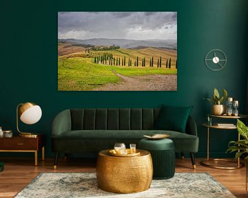 Tuscan landscape with Cypresses in Val d'Orcia by Kevin Baarda