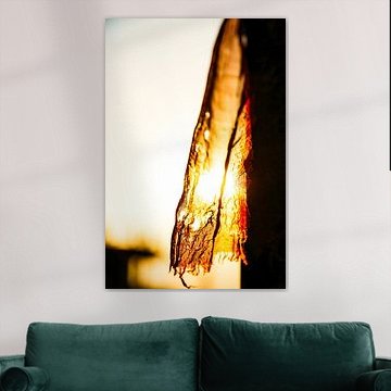 Beautiful sunlight through the cloth