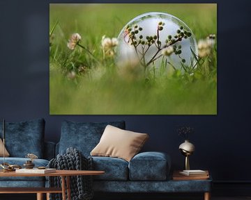 Eisblume im Gras von Tot Kijk Fotografie: natuur aan de muur