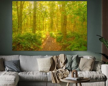 Pad door een beukenbos met zonlicht van Sjoerd van der Wal Fotografie