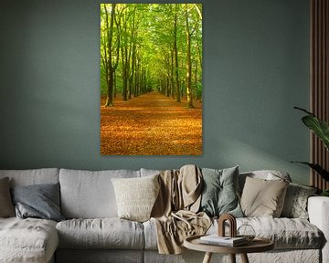 Chemin à travers une forêt de hêtres avec des feuilles brunes sur le sol de la forêt. sur Sjoerd van der Wal Photographie