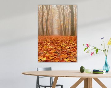 Chemin à travers un paysage brumeux de hêtres par un beau matin d'automne. sur Sjoerd van der Wal Photographie