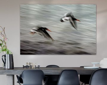 Oystercatchers abstract by Linda Raaphorst