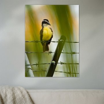 Gretel beautiful among the palm fronds