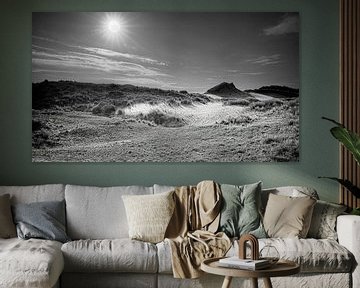 Meijendel dune landscape at sunrise.