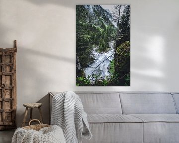 Bomen in de rivier