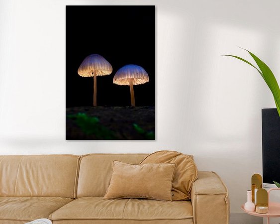 Aperçu de la chambre