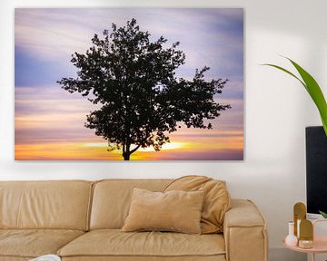 Pastellfarbener Sonnenuntergangsbaum von Zwoele Plaatjes