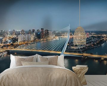 Blick auf die Erasmusbrücke