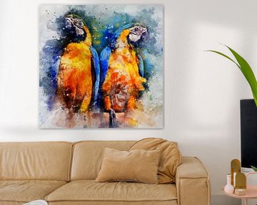 Deux perroquets, aquarelle de deux aras bleu-jaune en jaune, orange, bleu | The Bird Collection sur MadameRuiz