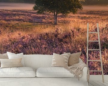 Blühende Gasterse Duinen von Henk Meijer Photography