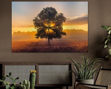 Gasterse Duinen during Sunrise by Henk Meijer Photography