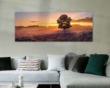 Panorama of the Gasterse Dunes by Henk Meijer Photography