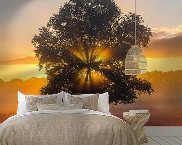 Gasterse Duinen during Sunrise by Henk Meijer Photography