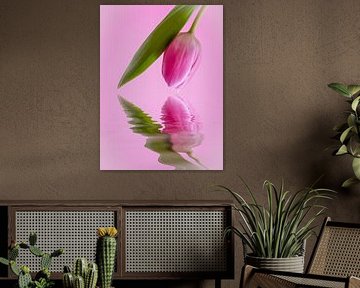 tulip as a mirror of water by Roxyfotografie.nl