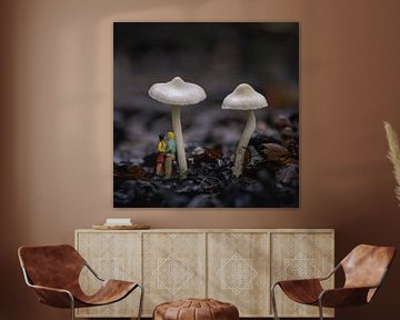 Miniatures sous un champignon sur Jolanda Aalbers