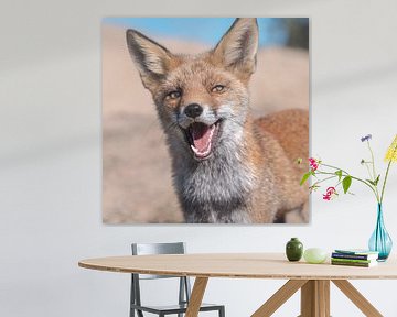 Glücklicher Fuchs in Hollands Dünengebiet von Jolanda Aalbers