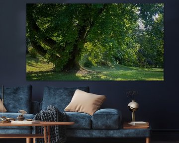 Paysage de parc dans un jardin botanique près de Verbania Italie sur Rick Van der Poorten