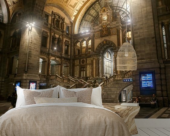 Aperçu de la chambre