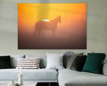 Prachtige zonsopkomst met een paard op de voorgrond van Richard Nell
