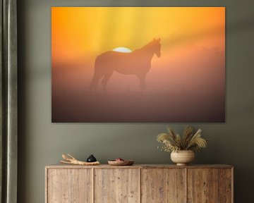 Prachtige zonsopkomst met een paard op de voorgrond van Richard Nell