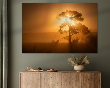 prachtige boom in de mist met een oranje lucht van KB Design & Photography (Karen Brouwer)