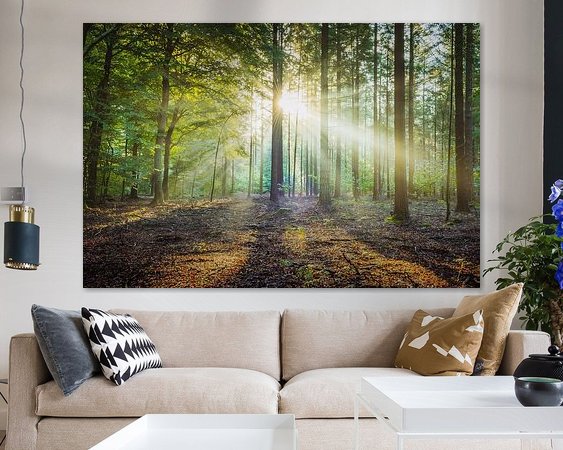 Aperçu de la chambre