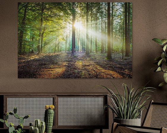 Aperçu de la chambre