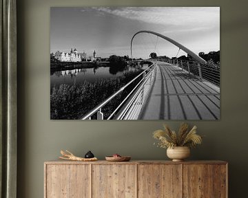 Dessau - Tiergarten brug en oude stad van Frank Herrmann