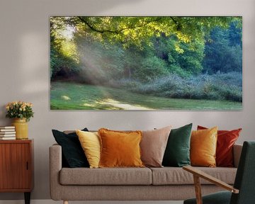 Rayons de soleil automnaux