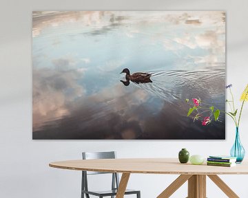 Enkele eend zwemmend op reflecterend hemelmeer van Besa Art