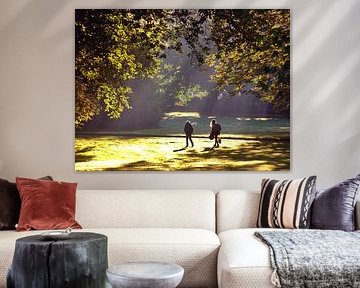 Jeu d'ombres sur un matin d'automne