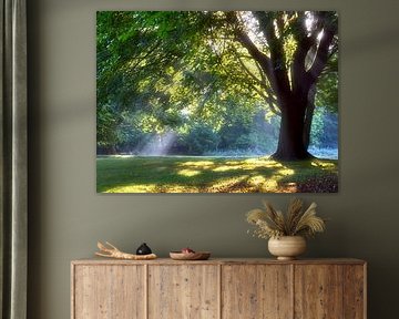 Lumières d'automne magiques