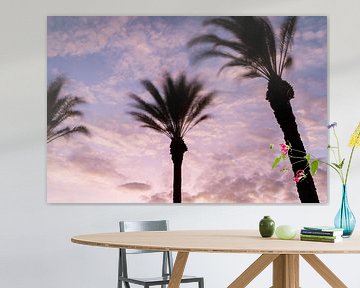 Palm trees in the evening glow (horizontal) by Tim Emmerzaal