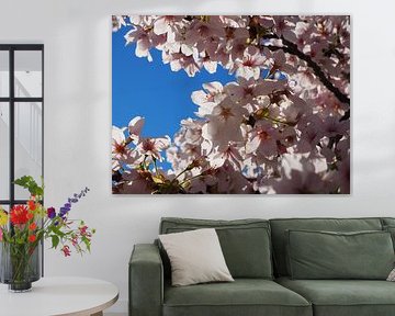 Blüte gegen blauen Himmel von Elize Kok