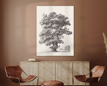 Schwarzer Eichenbaum Zeichnung von Apolo Prints