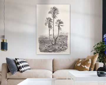 Dessin du groupe de palmiers sur Apolo Prints