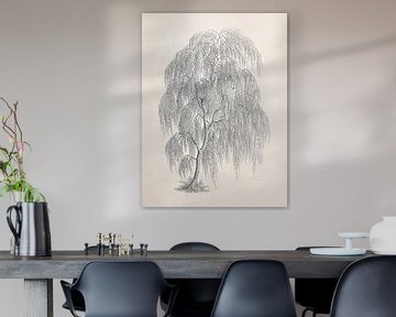 Tekening van de wilgenboom van Apolo Prints