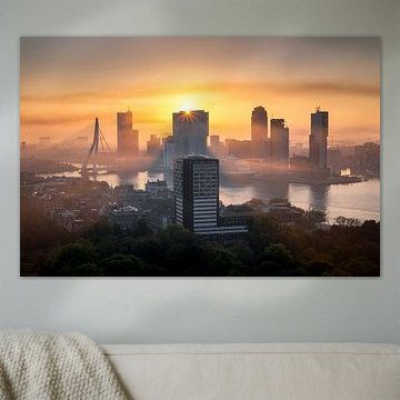 Guten Morgen Rotterdam